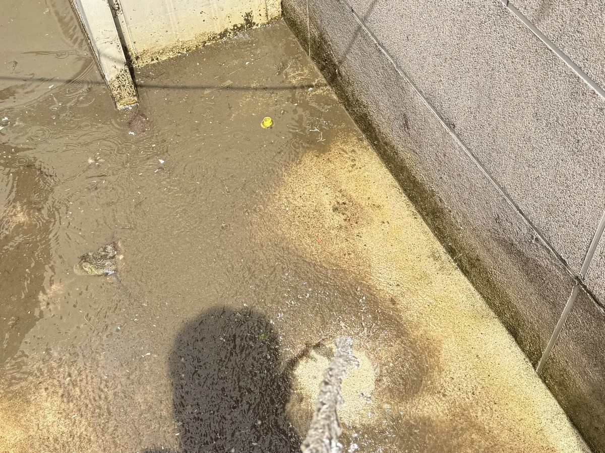 창원시 진해구 가주동 침수 현장 복도·대기 동선 야간 위생청소 사례 - 행진크린